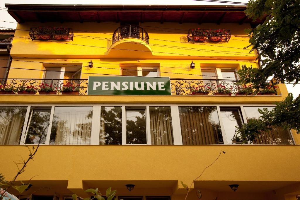 Pension Dinu Residence تيميشورا المظهر الخارجي الصورة